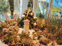 -春树下·树屋花房西餐厅(罍街AS1980店)