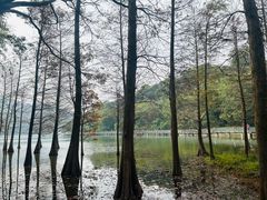 -广州市白云山风景名胜区