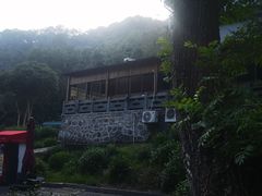 -龙井村