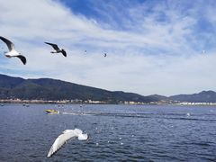 -海埂大坝