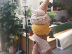 柿子雪芭-歎雪糕低糖低脂Gelato冰淇淋