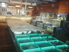 -浩运·海鲜青岛菜·海胆水饺(石老人店)
