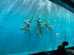 -瑞德姆美人鱼海底演艺主题餐厅(亚龙湾店)