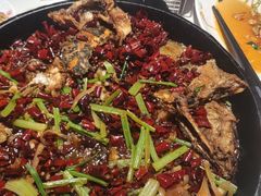 -老板恋上鱼(高新万达店)