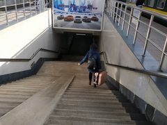 -潍坊站