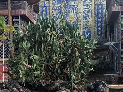 -海南槟榔谷黎苗文化旅游区