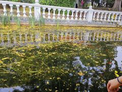 -绵阳人民公园(涪城区)