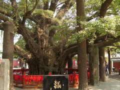 -浮来山风景区