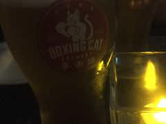 -Boxing Cat Brewery拳击猫精酿啤酒馆(永福店)