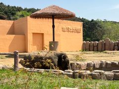 -沈阳森林动物园