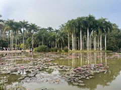 -中国科学院西双版纳热带植物园