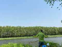 -蒲河岛湿地公园