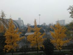 -星巴克(成都机场T2店)