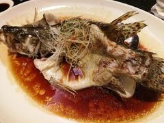 清蒸桂花鱼-长春凯悦酒店-品悦中餐厅