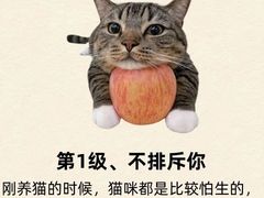 -心语宠物医院·急重症转诊中心·瑞辰华诺(南青路店)