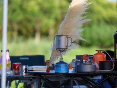 -春花秋色城市公园