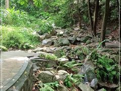 -火炉山森林公园
