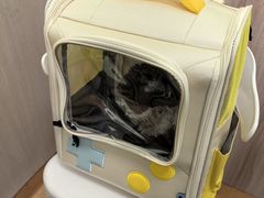 -瑞鹏宠物医院·宠保定点·心脏科·内科(御桥分院)