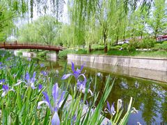 -海棠花溪(元大都城垣遗址公园)