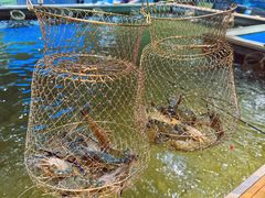 -桃源乐钓虾馆(松岗概念店)