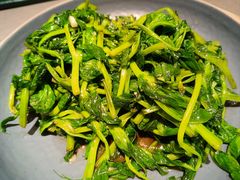 清炒云南豌豆尖-云海肴·汽锅鸡·云南菜(高德置地店)