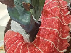 -洪氏嗨捞·广东猪肚鸡·椰子鸡火锅(西咸万象城店)