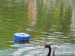 -合肥野生动物园