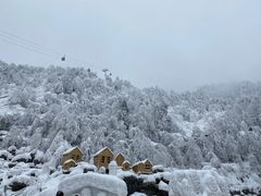 -瓦屋山景区