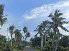 -东寨港红树林旅游区