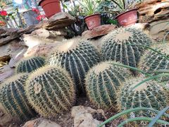 -国家植物园南园