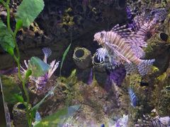 -太平洋海底世界