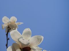 -常熟路(地铁站)