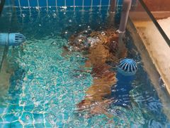-妈妈菜舟山海鲜(定海古城店)