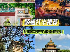 -有腥气私房菜·寻味顺德