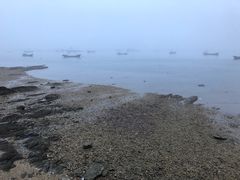 -兴旺渔家