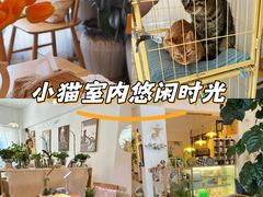 -昼夜咖啡馆