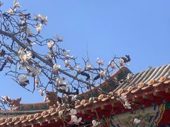 -碑林公园