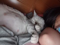 -中农国际动物医院24小时·猫科·骨科·急重症中心
