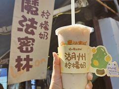 -猫的魔法密林(衣裳街店)