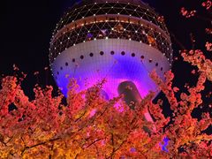 -东方明珠广播电视塔