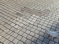 -优托邦(长兴路店)