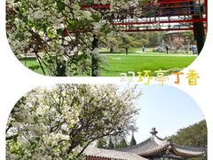 -天坛公园