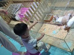 -嘉兴海底世界