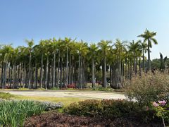 -深圳国际园林花卉博览园