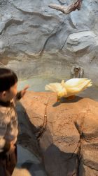 点击看大图 -Zoolung Zoolung动物主题公园(海信广场店)