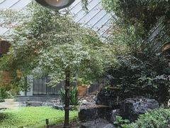 -久宴·天目湖大鱼头(恐龙园店)
