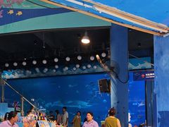 -烟台海昌鲸鲨海洋公园