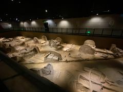 -洛阳周王城天子驾六博物馆