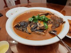 -鲁宴·鲁煨黄河生态大鲤鱼(月坛店)
