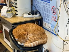 -威邵鸡煲(西华路总店)